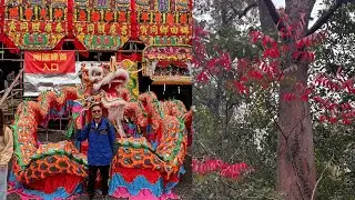 大欖郊野公園, 大棠紅葉, 錦田十年一屆酬恩演戲,美食嘉年華