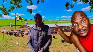 the real reason I CHOSE this BUSINESS at my RURAL HOME