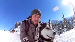 Vacation with dogs in the German alps. Amazin View from the Tegelberg near F&uuml;ssen.