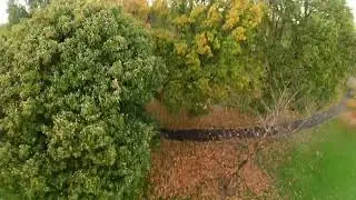 Ropner Park,#fpv #drone #flying #5inch #amazing #epic #cinematography #different #beautiful #tree