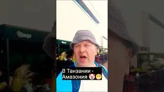 Шо он курил? Загадка НЯРИС 🔥 #travel #lituania