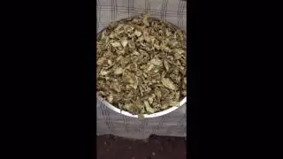Sharbat Nilofar
