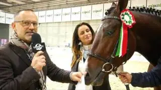 DAY 2 - IL CAMPIONE DI RAZZA MAREMMANO