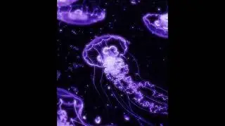 [free] redda x darko x lovemusic type beat 