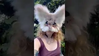 my first cat mask! process/tutorial #maskmaking #therianthropy #therian #catmask #theriangear