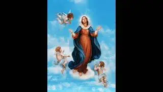 Solemnidad de la Asunci&oacute;n de la Pur&iacute;sima Virgen Maria