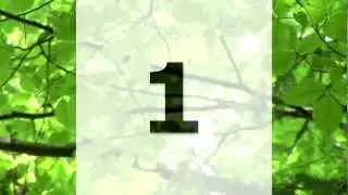 17 Seconds of Focus Timer - Abraham-Hicks