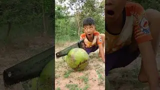 Survival Skills: Amazing Man with Coconut Skills #outdoors #survival #camping