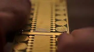 Tocante Phashi + Cocoquantus - hello world B