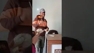 مزارع الطحان بالخارجة ومشروع انتاج الحرير من دود القز الوادي الجديد