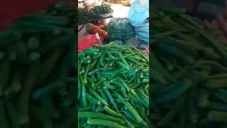 fresh vegetables // buy online // contect for vegetables