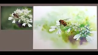水彩示範《微鏡世界．Bee》- 王文詵