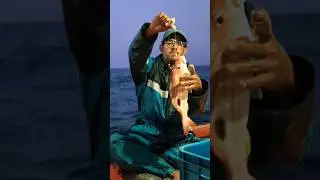 fishing #bottom #fish  Video 🐠🔔