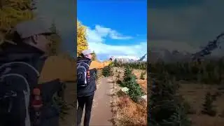 Best larch hike near Calgary in Alberta 2023 🍂🍁💛