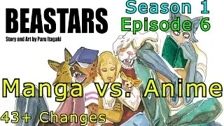 Every Difference in Episode 6 of Beastars. Manga vs. Anime (Season 1)
