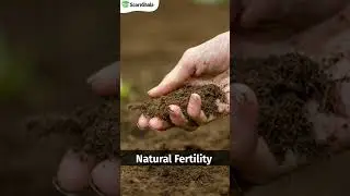 Primitive Farming क्या होता है? #Geography #Shorts