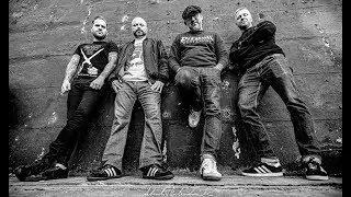 #TheAnalogs #StreetPunk #25LatAnalogs  Cały Koncert THE ANALOGS 2020