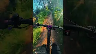 Trail Blasted! #mtb #mtbreview #mountainbike #emtb