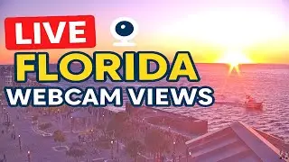 🌴Florida Live: Webcam Views! - MIAMI - FORT LAUDERDALE - ORLANDO - KEY WEST✨🌴
