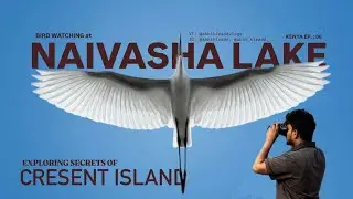 “Exploring the Wild Beauty of Lake Naivasha | Boat Safari, Hippos & Hidden Gems!”