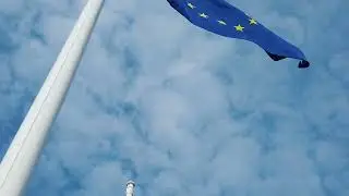 🚨 
