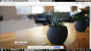 How to Install Wordpress Using Softaculous App Installer by Digiview Technologies