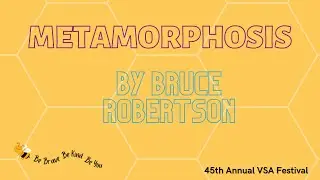 Metamorphosis: VSA Performance Art