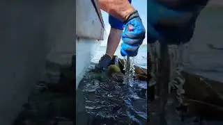 Work Gloves in Action! | 3100-DZ Rubber Latex Coated #shorts #workgloves #workglovesdepot