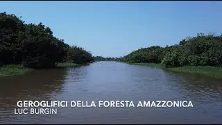 Geroglifici nella foresta amazzonica (Luc Burgin)