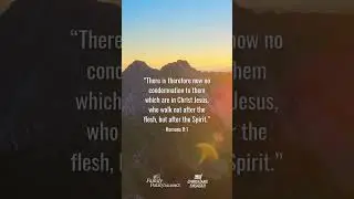 In Christ, we are blameless. #inchrist #jesus #romans #faith #scripture #bible #bibleverse
