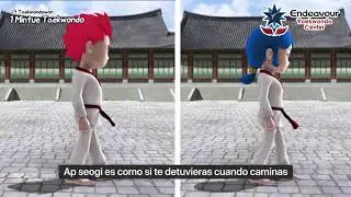 AP SEOGI TAEKWONDO - ✅[Posiciones b&aacute;sicas]