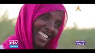 FANNI KEE WAANE Qafar Afih 19/2012 |etv