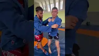 Лучшая техника в самбо #ufc