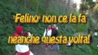 Bove finto 2007