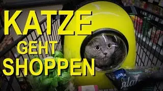 Rucksack f&uuml;r Katzen (REVIEW)