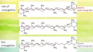 Conjugation in Dyes and Energy Absorbed