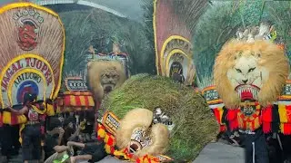 MERINDING JAGAL SERAM❗BARONGAN REOG PONOROGO TERBESAR TABUHAN GEGERKAN DESA KARANGAN BALONG