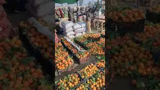 Pakistan vegetable market kinnu ka tokri 200 rupay mein sirf#shorts