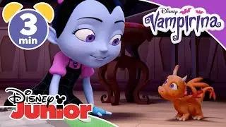 Vampirina | Baby Dragon Comes To Visit ✨ | Disney Kids