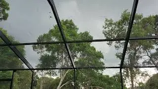 FlLife lightning strike