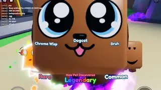 Hatching dogcat on camera in mining simulator 2