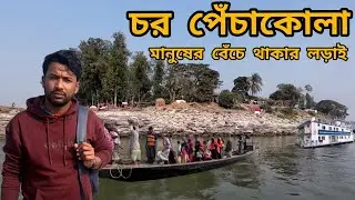 যমুনার পাড়ে জীবনযুদ্ধ | নদীভাঙনে ক্ষতিগ্রস্ত চর পেঁচাকোলার মানুষের গল্প | Nakalia Voice BD