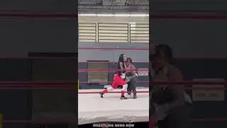 CM Punk Helps AJ Lee Train to Wrestle for WWE Return as Becky Lynch & Rhea Ripley Are Shocked #wwe