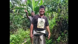 Persiapan ngenteg linggih adat biaung 2025