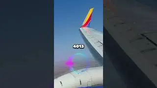 Pilot Lands at the WRONG Airport?! 😱🛬