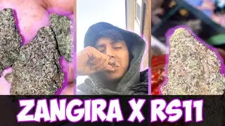 Zangria x RS11 (UK) Review #219