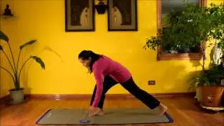 World Wellness Wish - January 2015 Challenge Day 10 of Yoga-Pilates Practice with Vidya Nahar