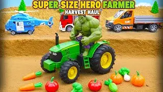 Create Your Own MINIATURE Vegetable Shop Diorama | Diy science project 2025