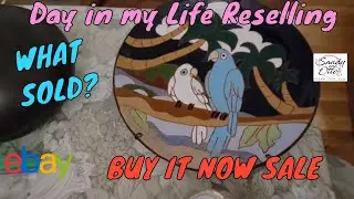 The Thrift Hunter | What Sold | Buy It Now | Full-Time Reseller Vlog #thrifting #homedecor