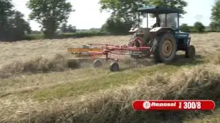 Ranghinatore rotante Mod. 300/8 &ndash; Repossi Macchine Agricole
